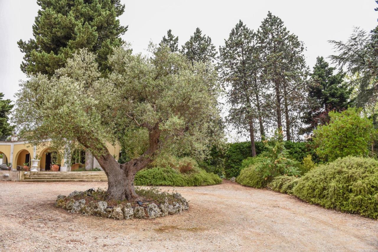 Villa Luciana Martina Franca Eksteriør bilde