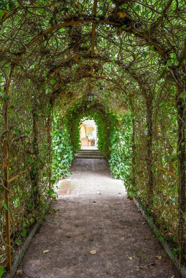 Villa Luciana Martina Franca Eksteriør bilde